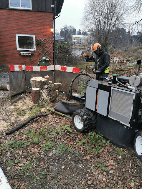 Stubbfräsning